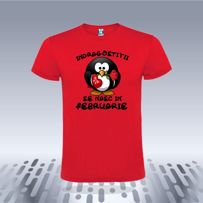 Tricou barbati INDRAGOSTITI FEBRUARIE