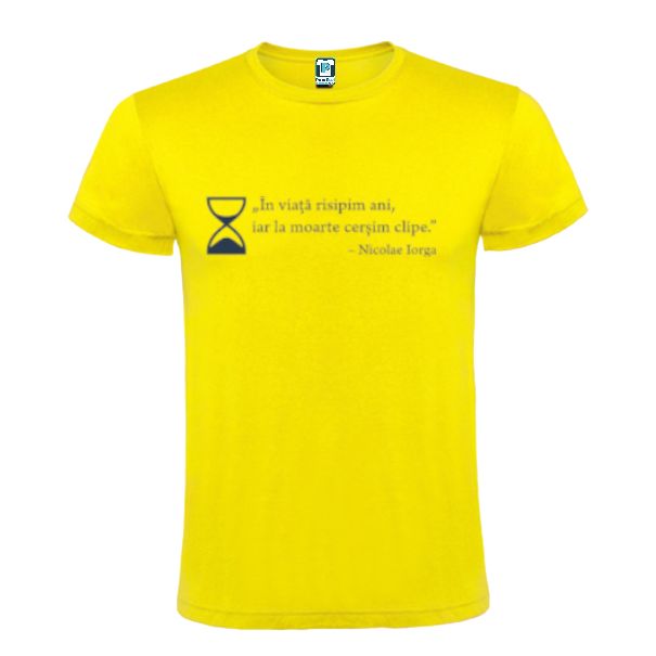 Tricou bărbați - Nicolae Iorga - Viața